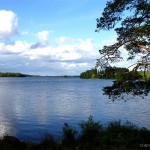 Romantischer Fegen See in Schweden