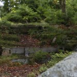 Ferienhaus Schweden in mitten der Natur