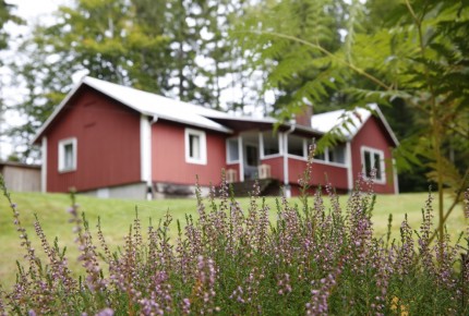 Ferienhaus in Schweden mieten mitten im Naturschutzgebiet